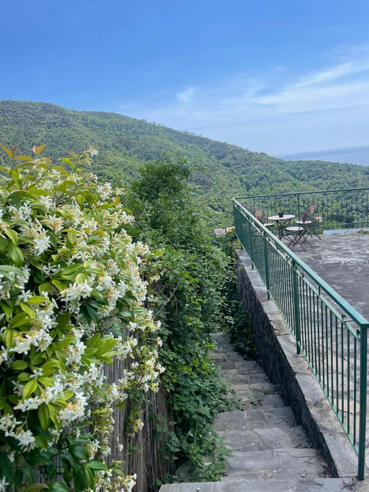 Corner Of Paradise モネーリア エクステリア 写真